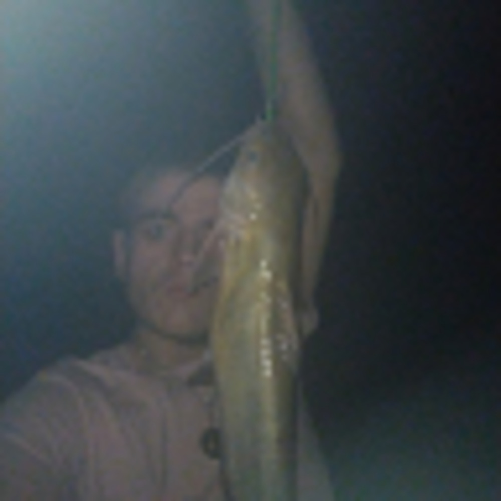 Meet your Posher, Joe
